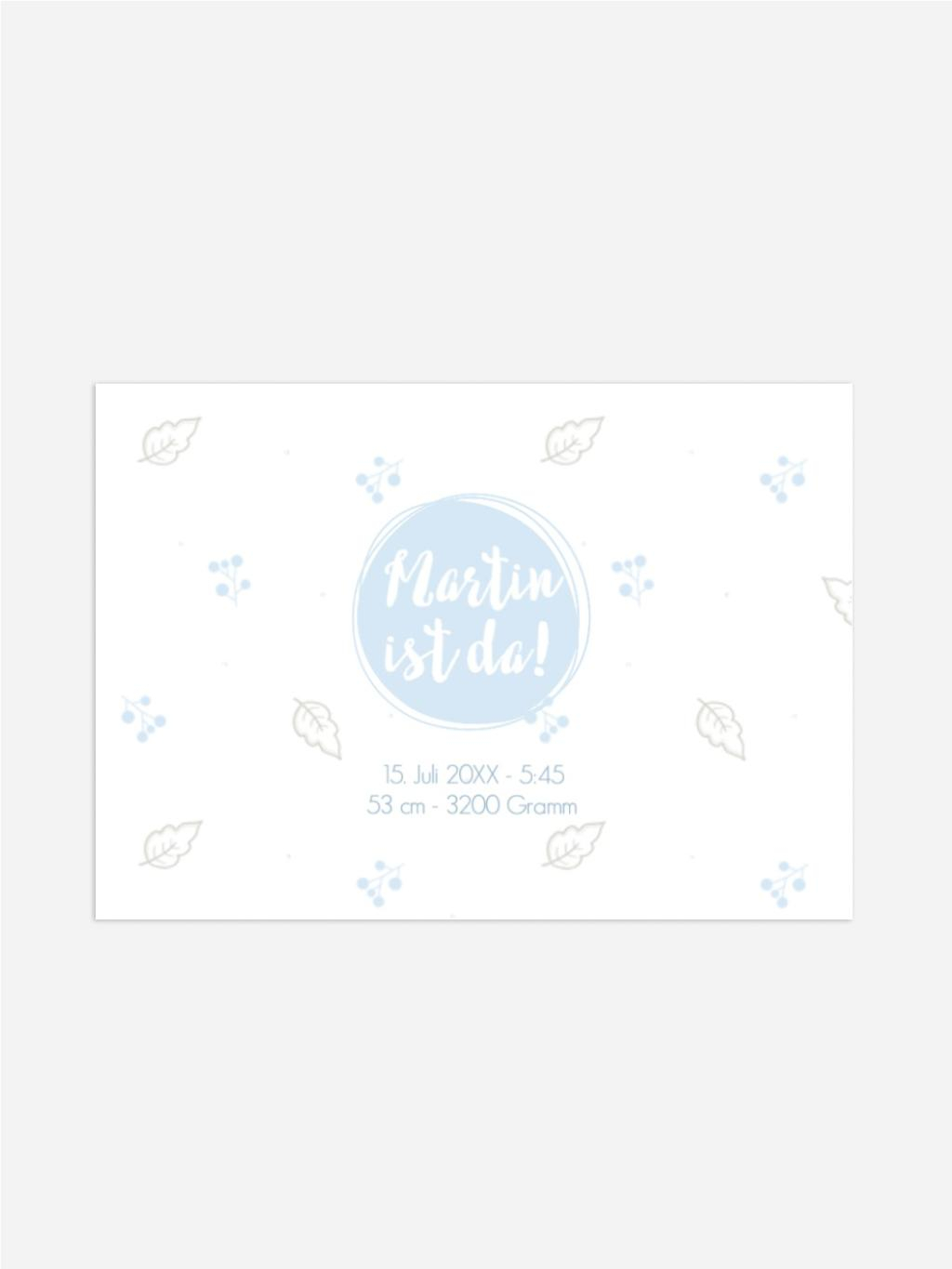 Product preview