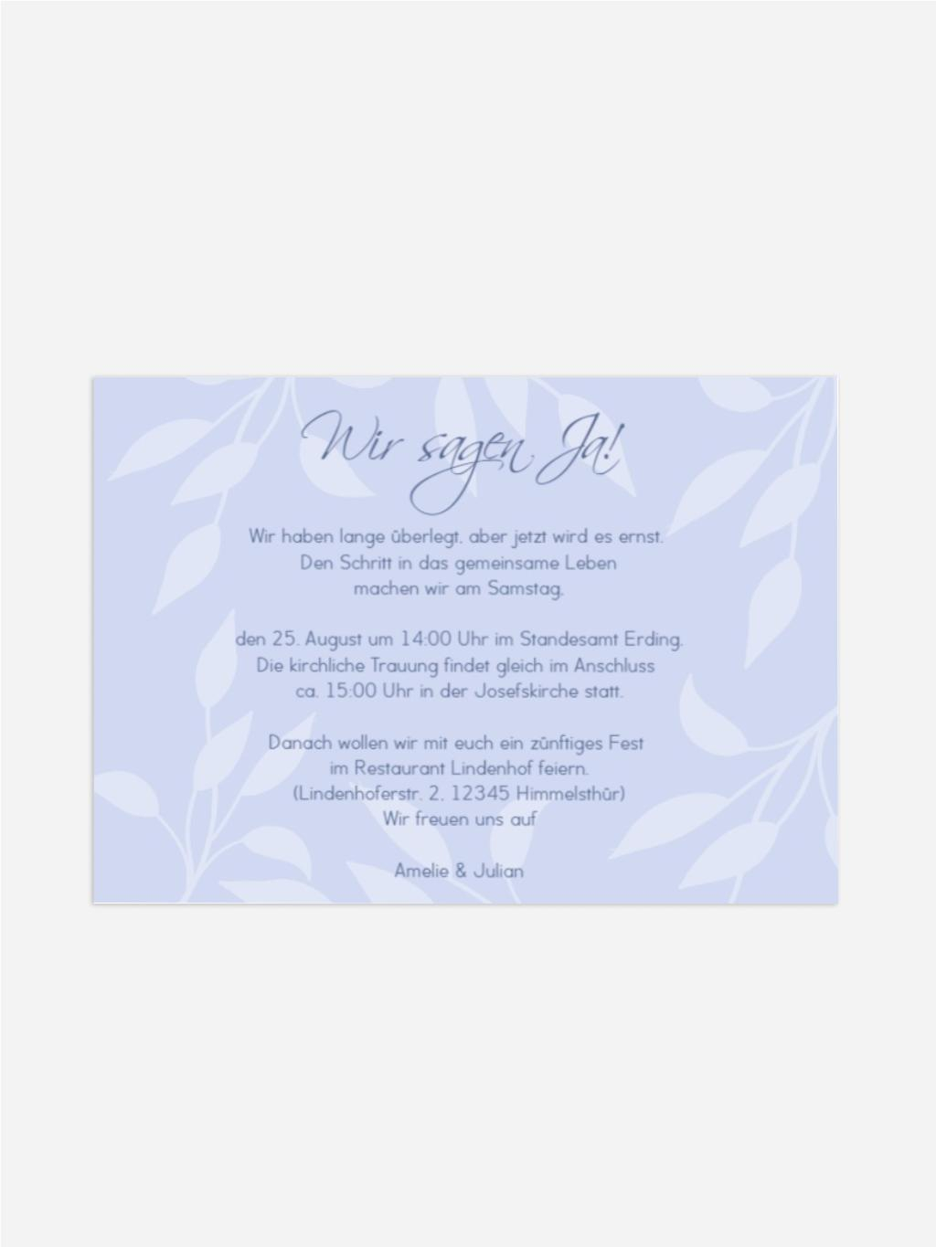 Product preview