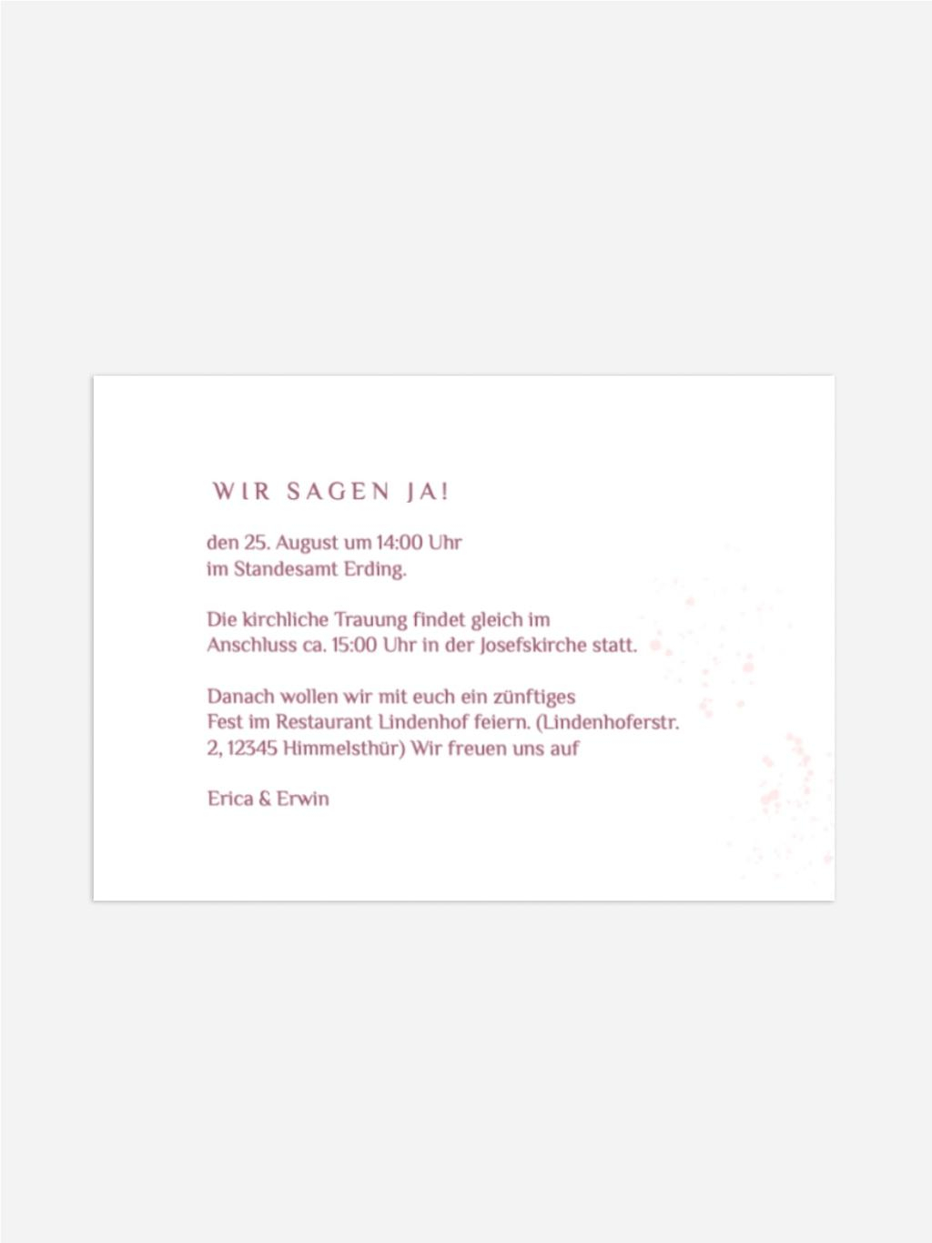 Product preview