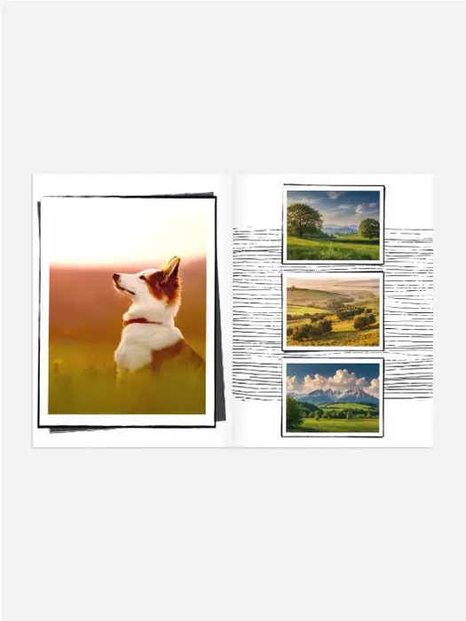 Product preview