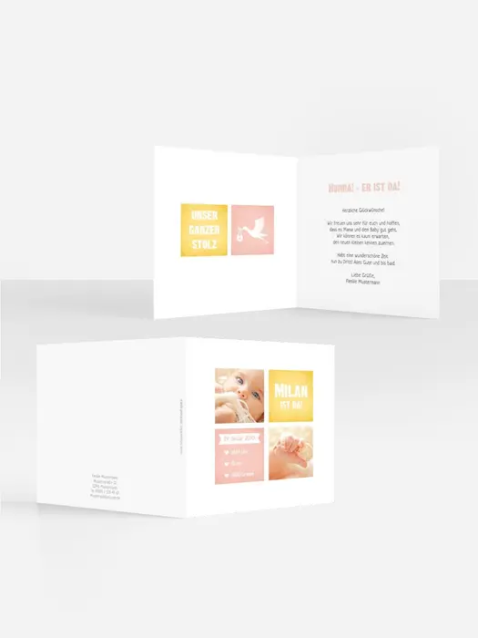 Product preview