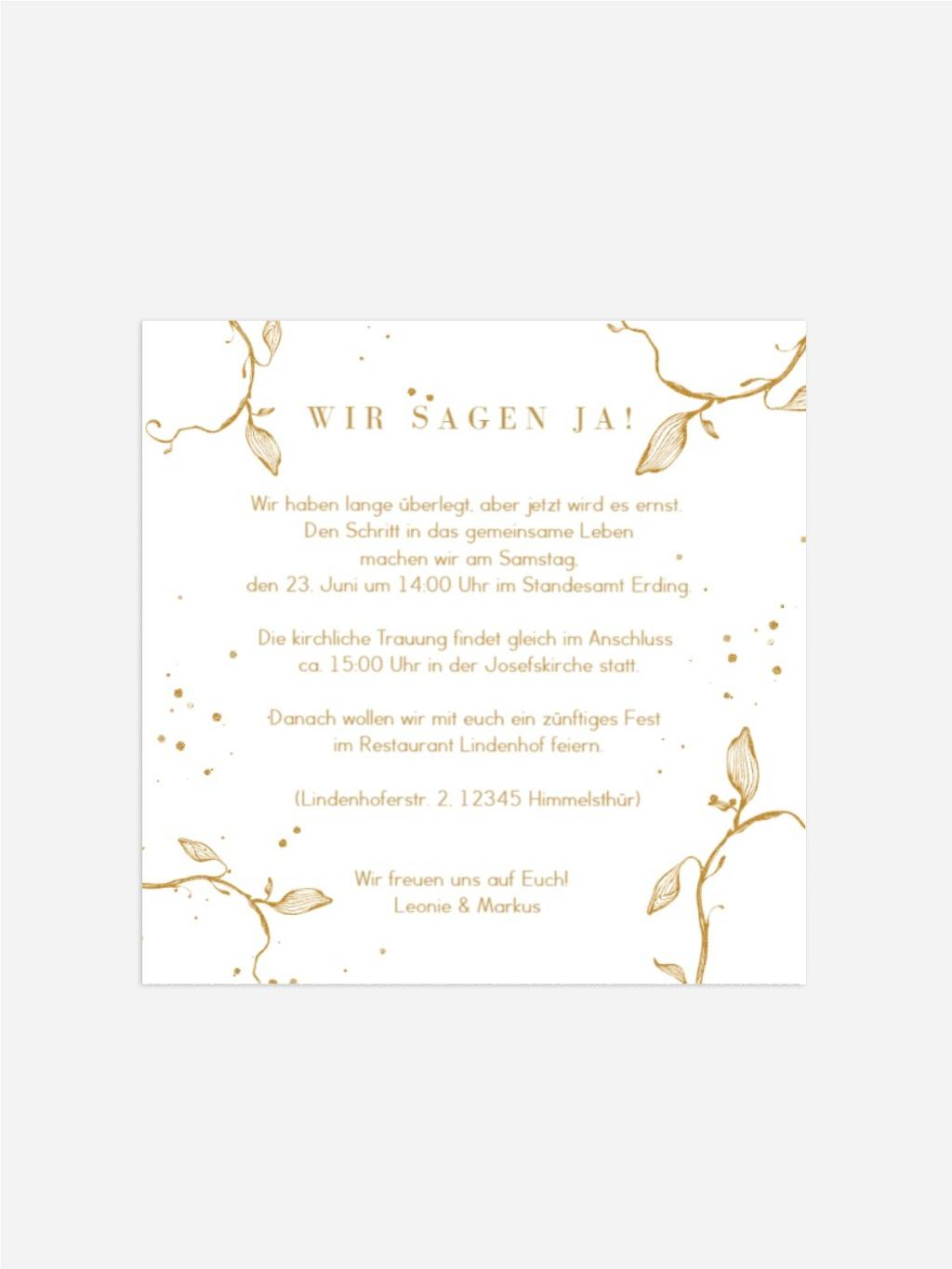 Product preview