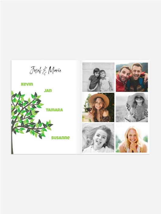 Product preview
