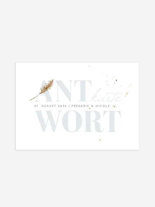 Product preview