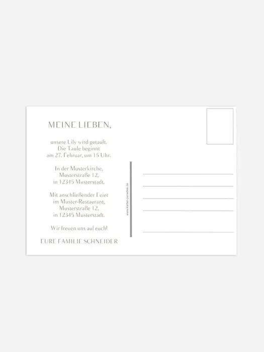 Product preview