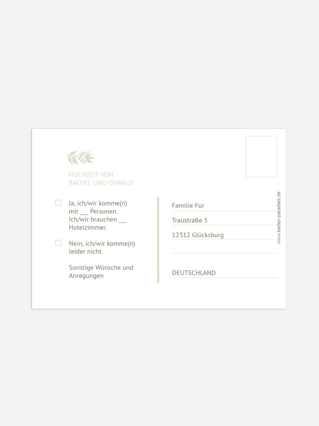 Product preview