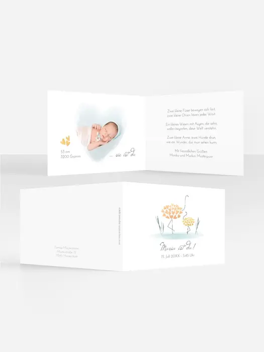 Product preview