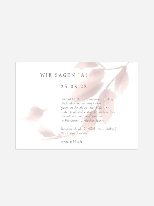 Product preview