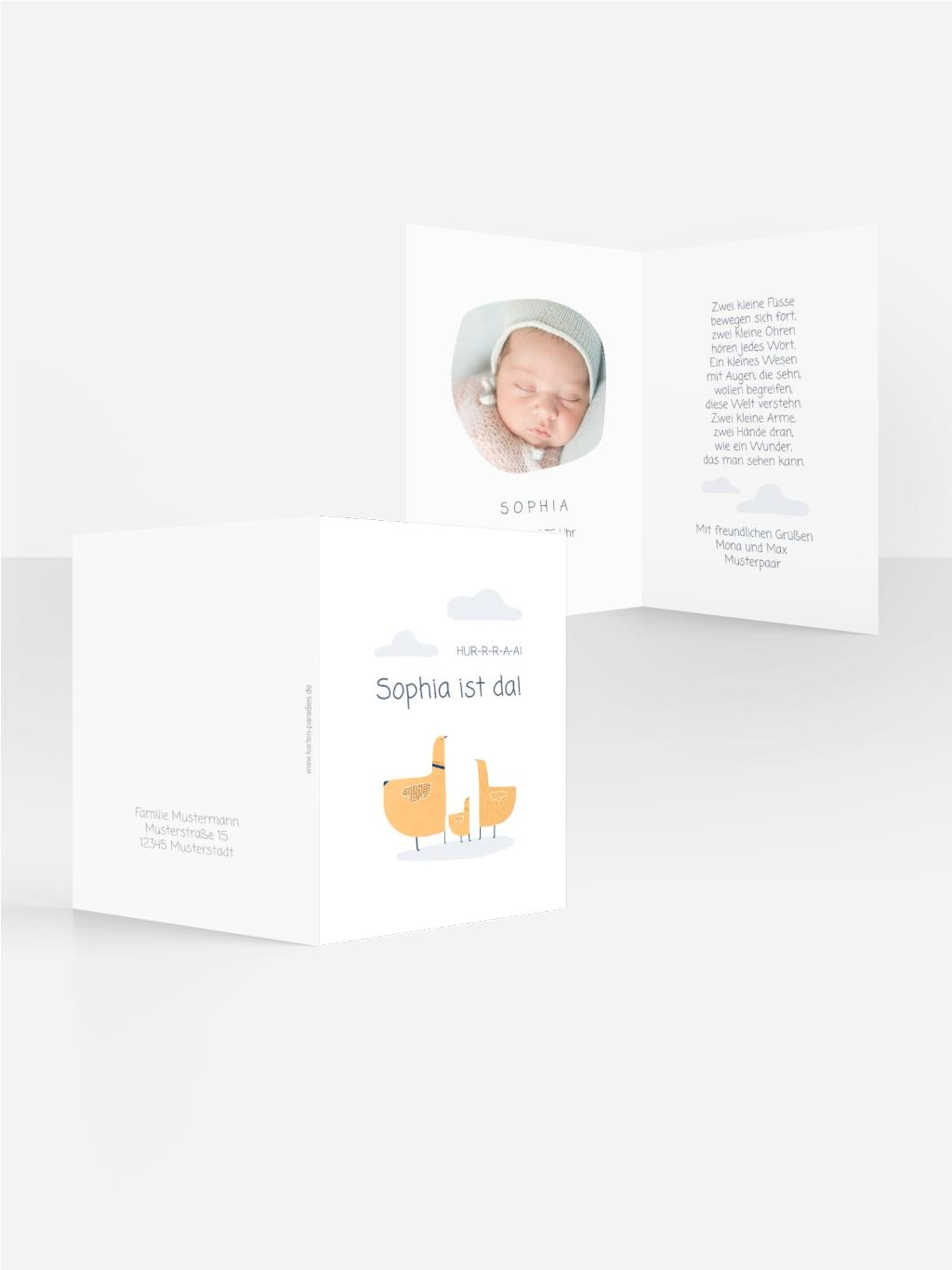 Product preview