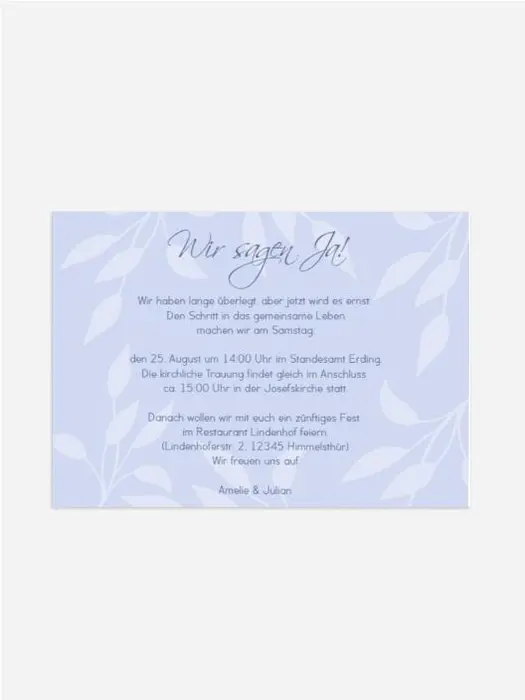 Product preview