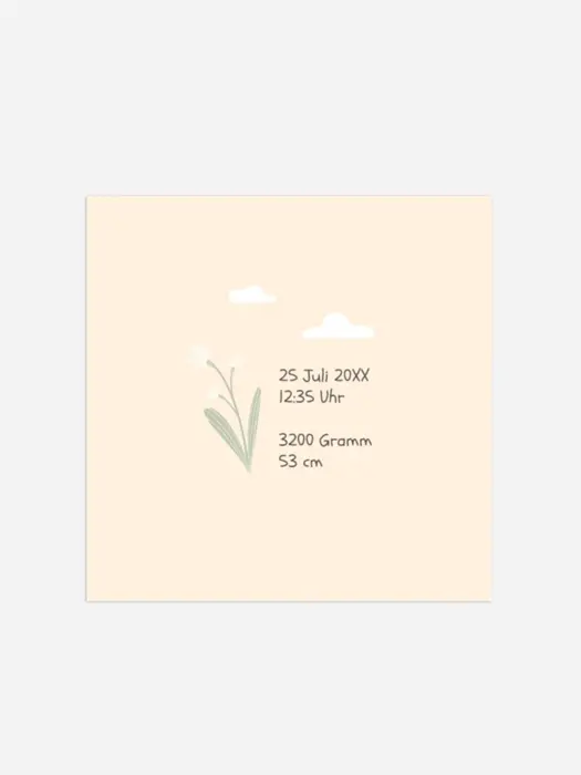Product preview