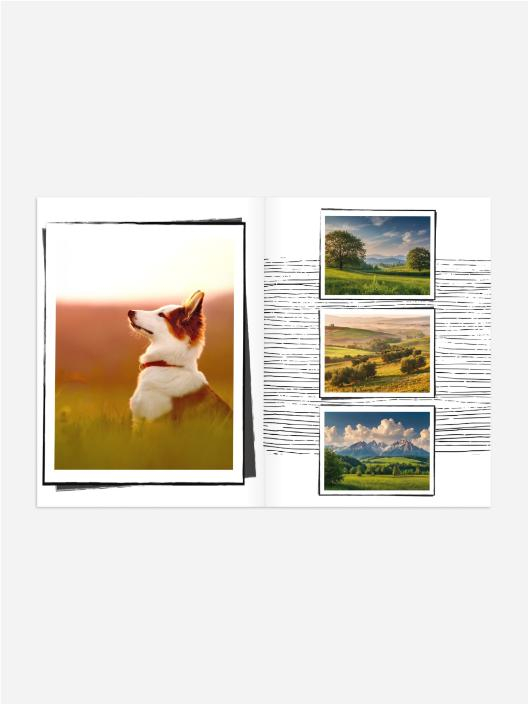 Product preview