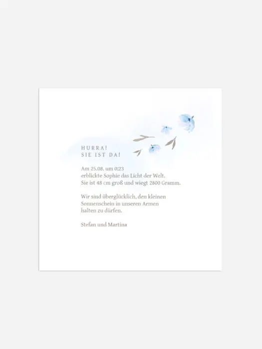 Product preview