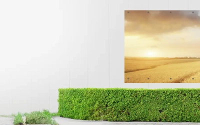 Slider background