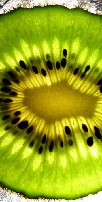 PVC Plane Full Screen