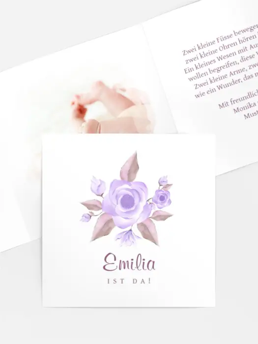 Zarte Rose Zarte Rose