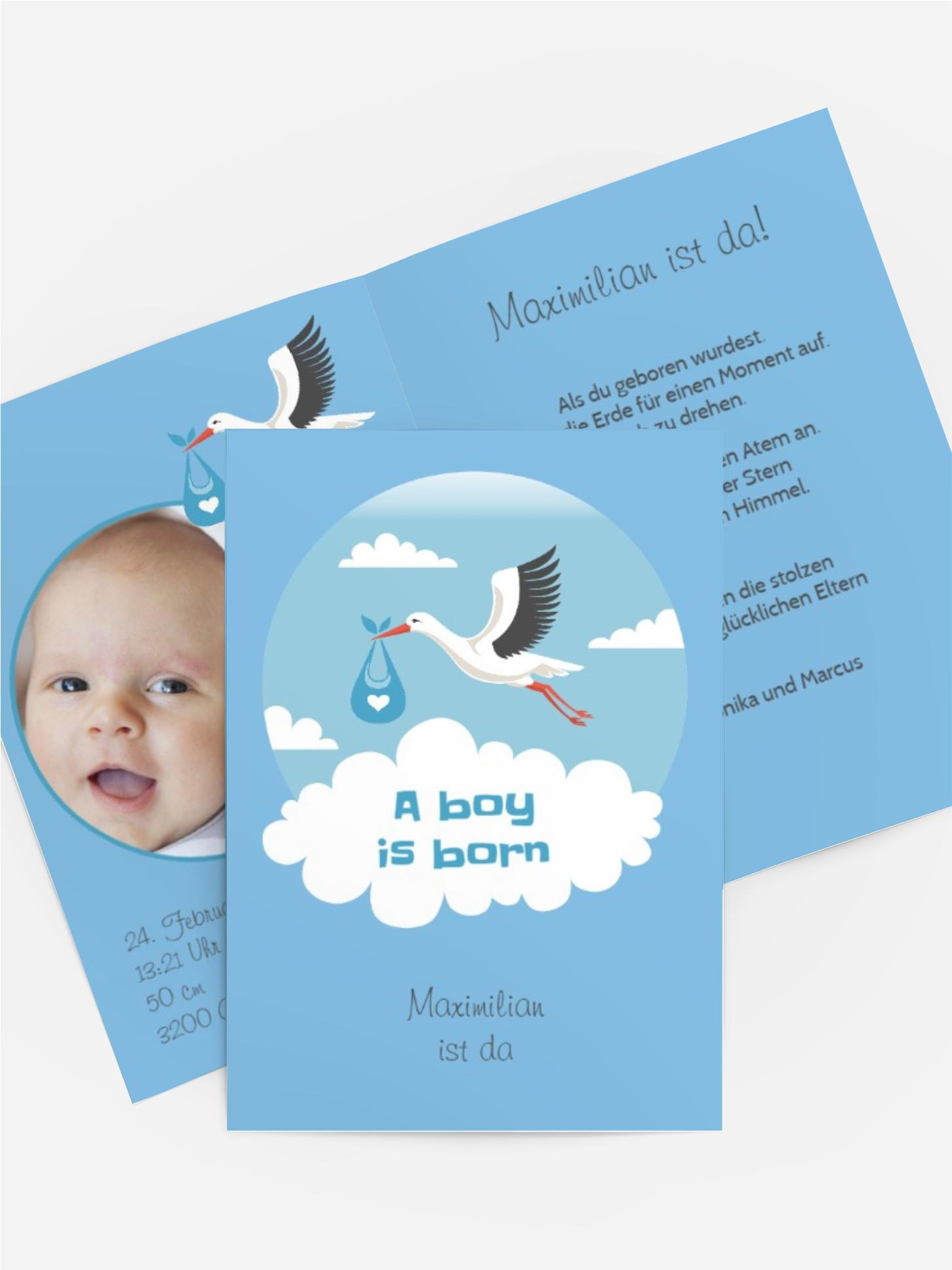 Storch Junge Storch Junge