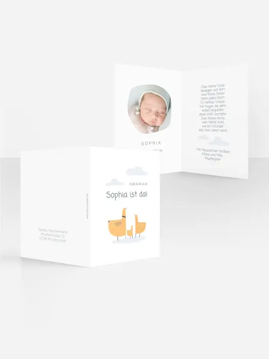 Product preview