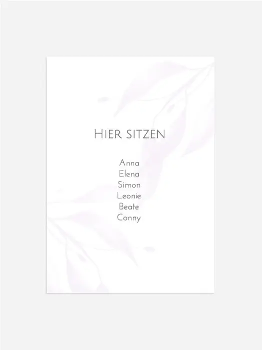 Product preview