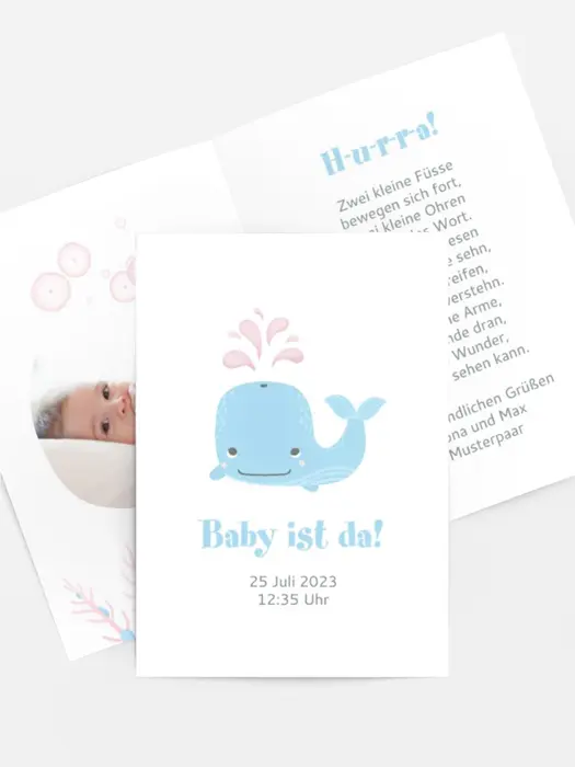 Kleiner Wal Kleiner Wal