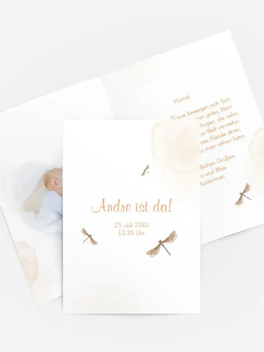 Libellentanz Libellentanz