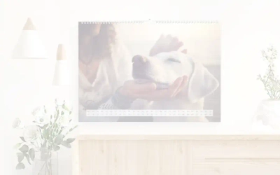 Slider background