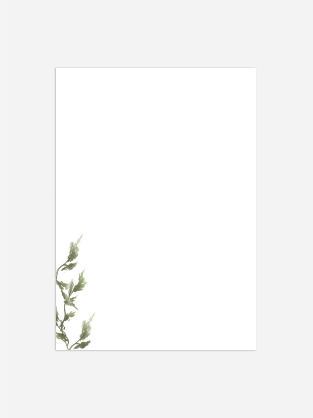 Product preview