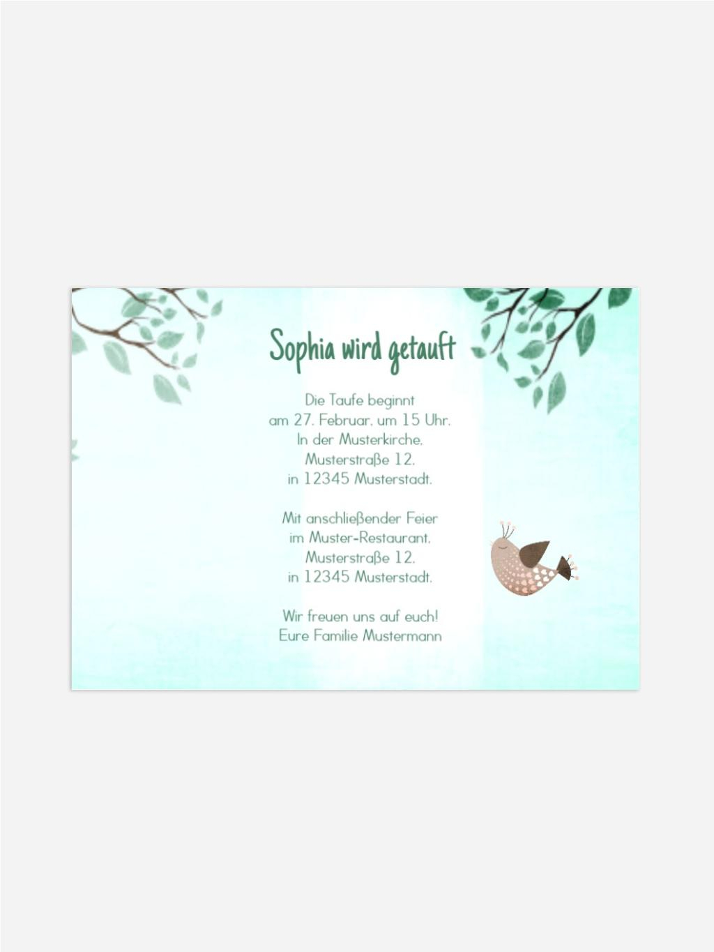 Product preview