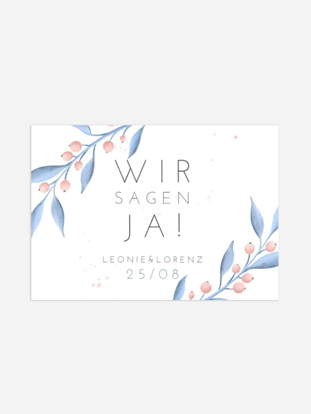 Product preview