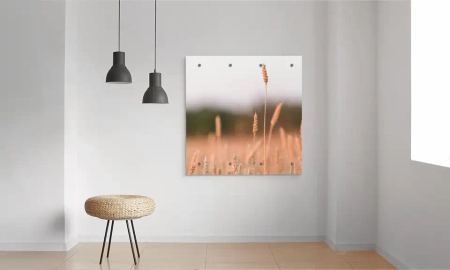 Foto PVC Plane, Wandbild, Getreide in Großaufnahme